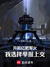 开局亿把军火，我选择举报上交！